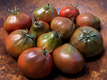 japanese black trifele heirloom tomato